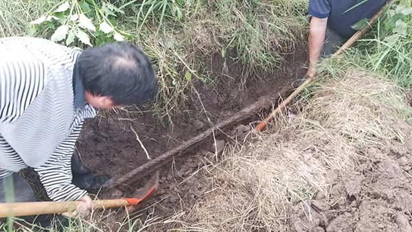 忠縣分公司石寶、紅星客運碼頭對消落期港區(qū)系泊設施設備進行維護保養(yǎng)3.jpg